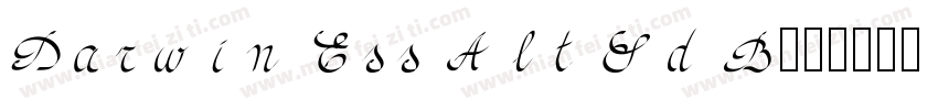 Darwin Ess Alt Rd B字体转换